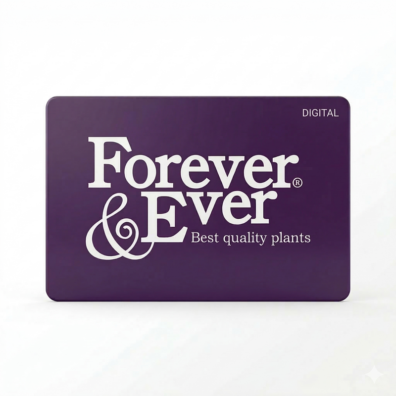 Chèque cadeau Forever&Ever®