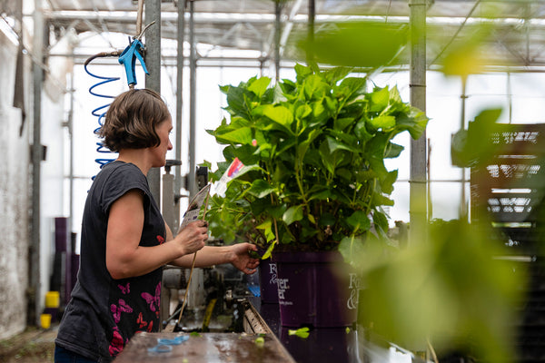 Passion pour la qualité